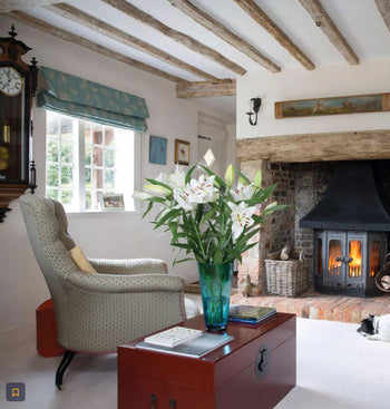 Red lacquer blanket chest, Hampshire Life