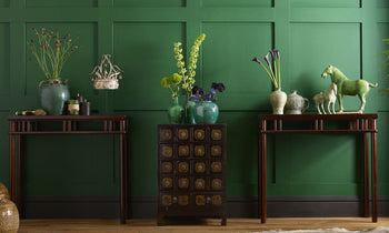 Chinese medicine chest