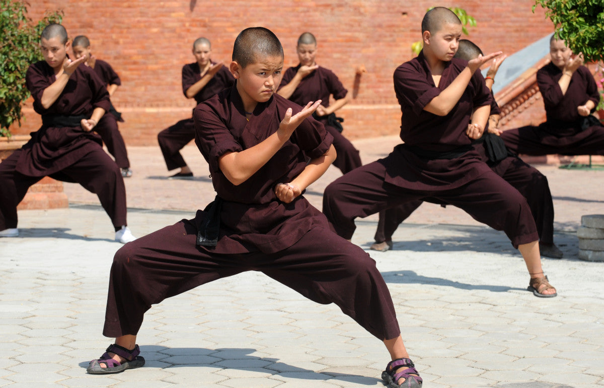 The Origins of Kung Fu — Shimu