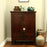 Chinese Antique Walnut Mid Size Storage Cabinet