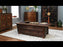 Chinese Antique Low Elm Panelled Coffer