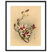 Chinese Painting Magnolia