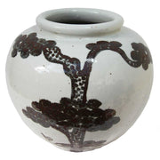 White Ginger Jars