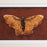 Limited Edition Print - 'Butterfly'